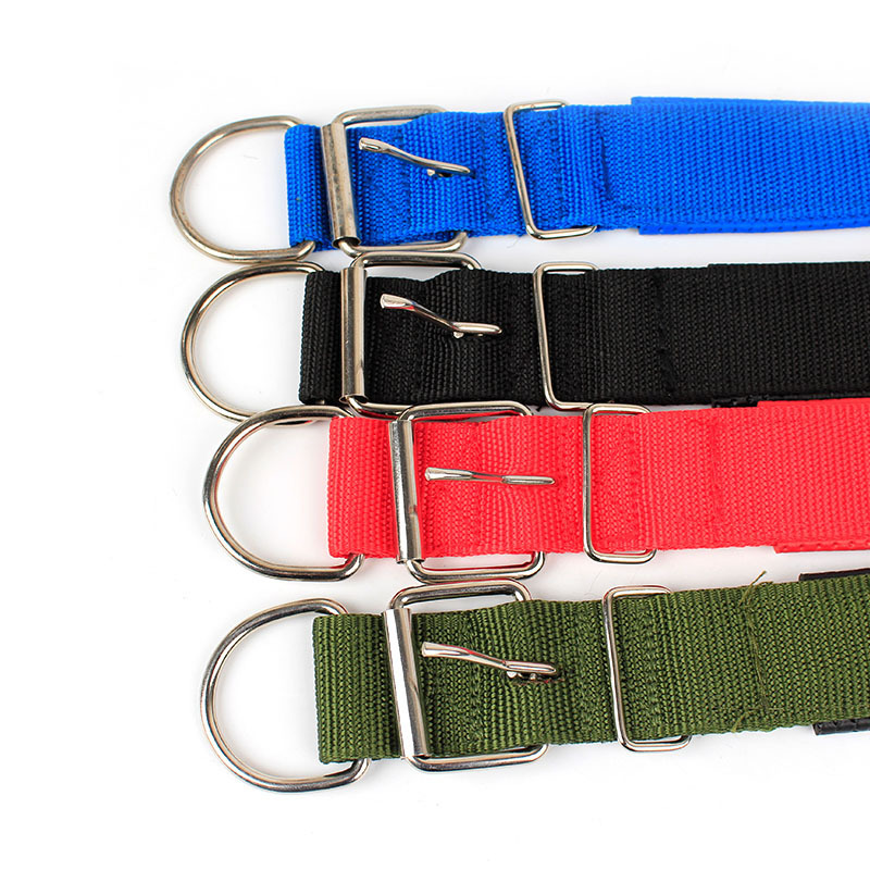 Collar de Nylon Ajustable para Perros Pequeños, Medianos y Grandes | prologyc.es | repuestos.prologyc.es