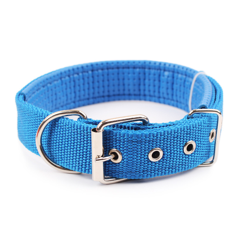 Collar de Nylon Ajustable para Perros Pequeños, Medianos y Grandes | prologyc.es | repuestos.prologyc.es