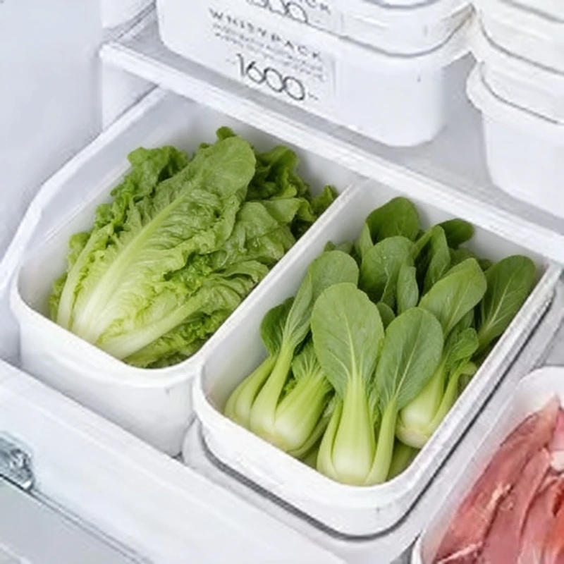 Recipientes Herméticos para Alimentos 4 Tamaños Organizador de Refrigerador | prologyc.es | repuestos.prologyc.es